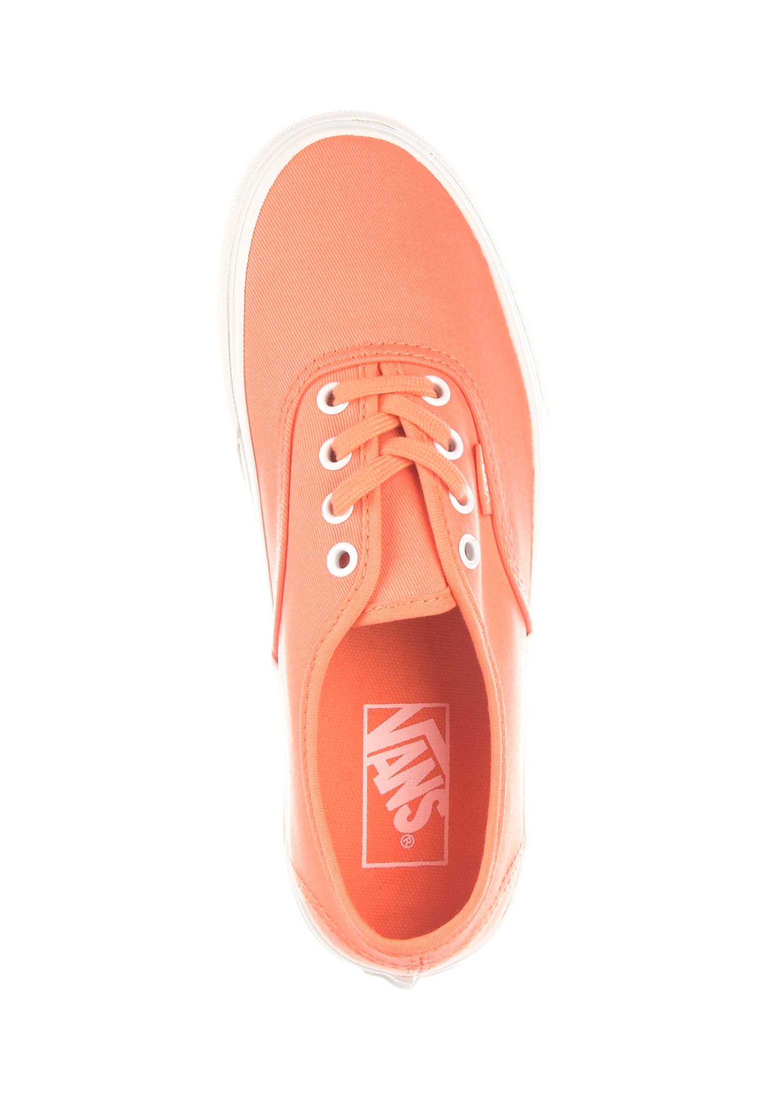 Vans authentic outlet blanc de blanc