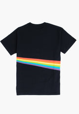 x Pink Floyd Dark Side Of The Moon black Rueckenansicht